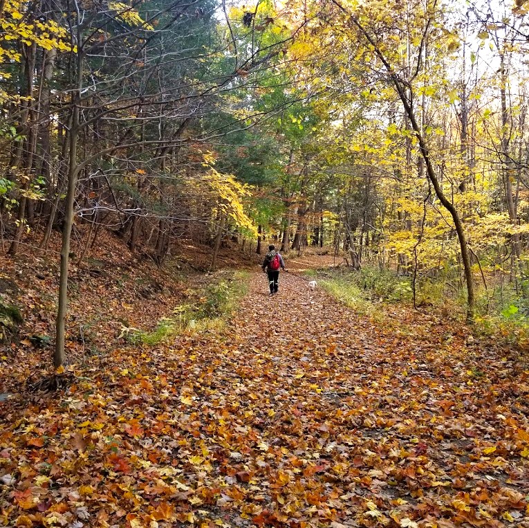 Hannacroix Creek Preserve is one of the best places to enjoy Catskills Fall Foliage