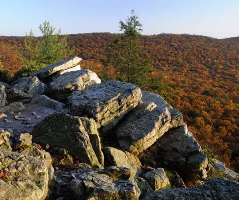 Hawk mountain Sanctuary