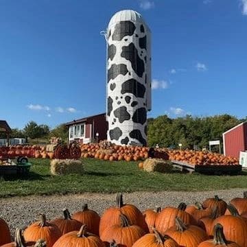 Pumpkin patches in PA include Hellericks Family Farm