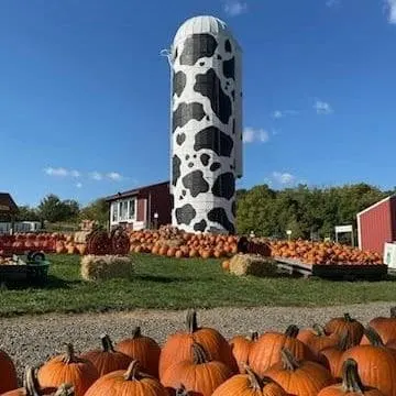 Pumpkin patches in PA include Hellericks Family Farm