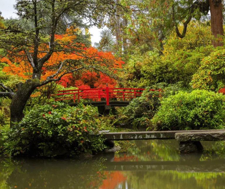 Kubota Garden is one of the best places to enjoy Seattle fall colors