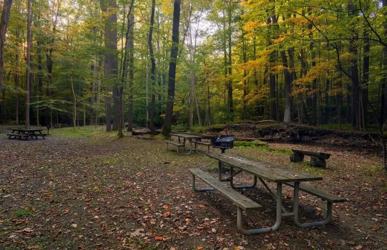 Linn Run State Park in the fall