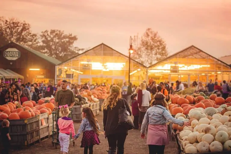 Linville Orchards is home of one of the best pumpkin patches in Pennsylvania