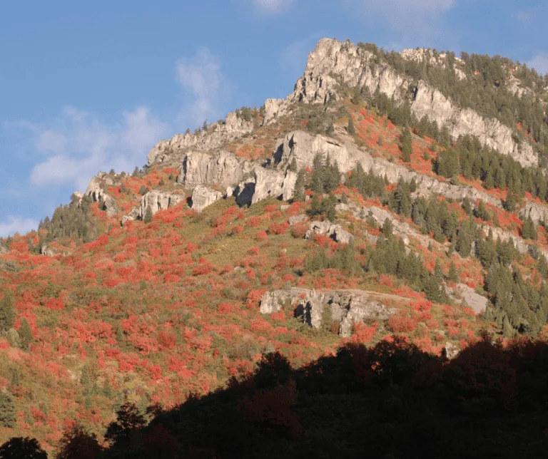 Logan Canyon Scenic Byway fall foliage