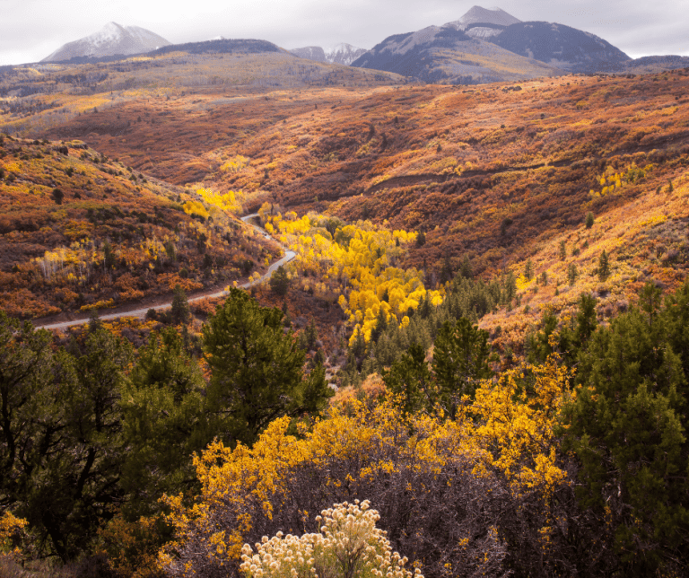 La Sal Mountains fall foliage