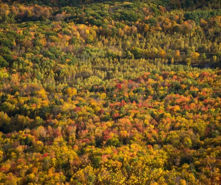 Mount Greylock