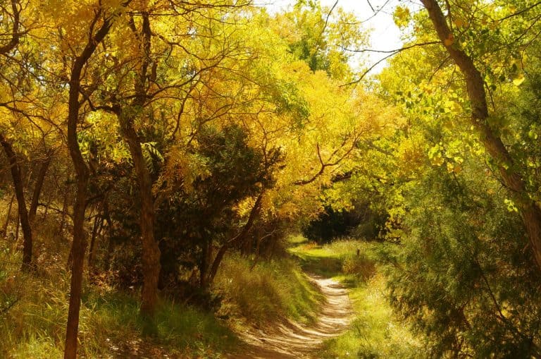 Palo Duro Canyon in fall