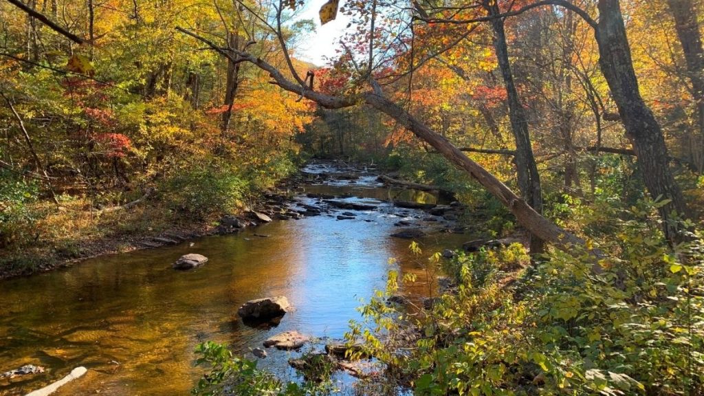 Over 15 Incredible Spots to Enjoy Virginia Fall Colors 4