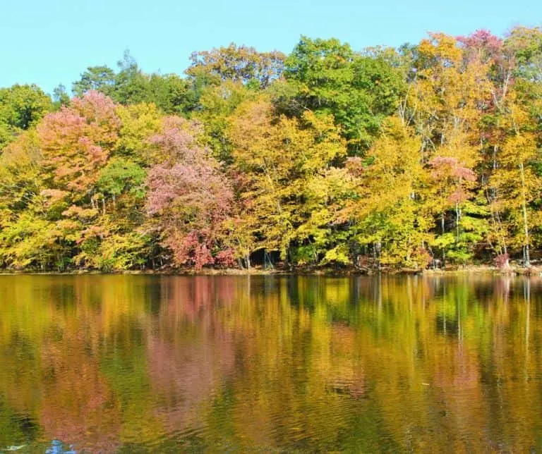 Penssylvani fall foliage in the Poconos