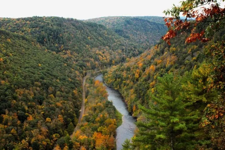 Pine Creek Gorge