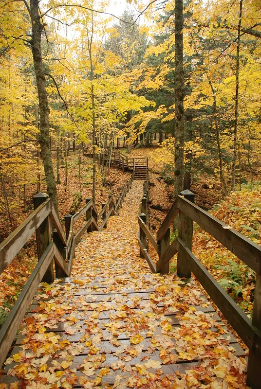 Presque Isle State Park Trail in fall