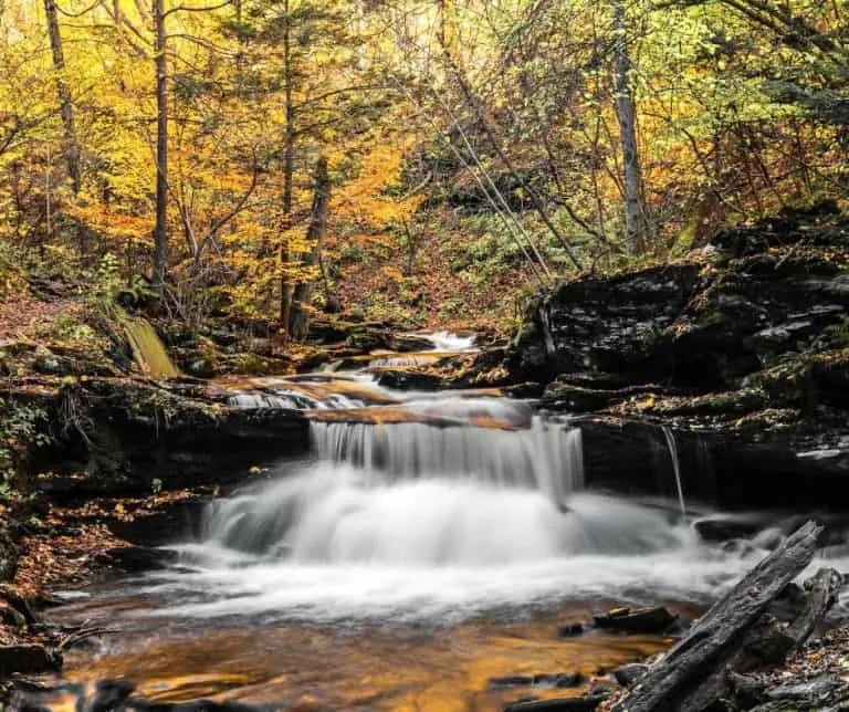 Ricketts Glen State Park