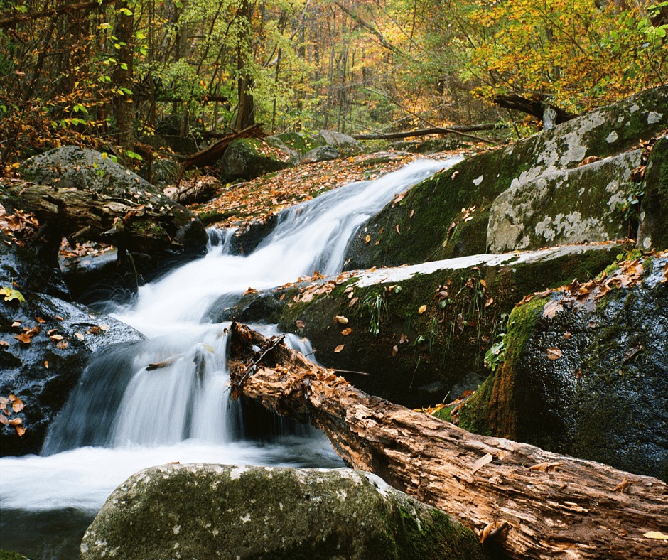 Over 15 Incredible Spots to Enjoy Virginia Fall Colors 6