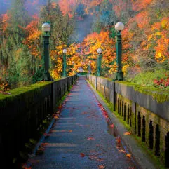 14 Fabulous Spots to Enjoy Seattle Fall Colors