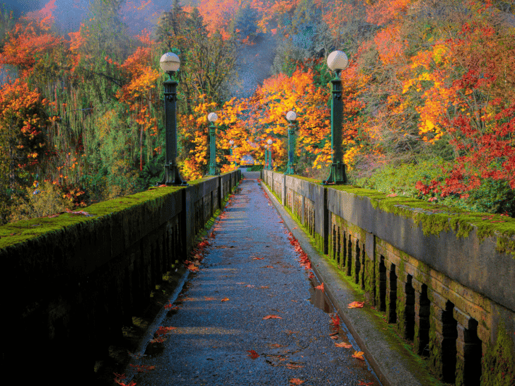 14 Fabulous Spots to Enjoy Seattle Fall Colors