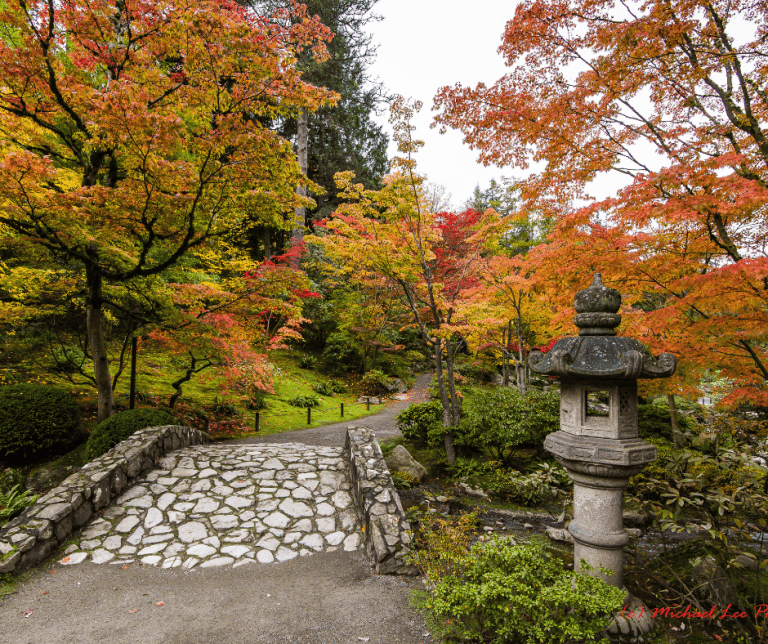 Seattle Japanese Garden in fall