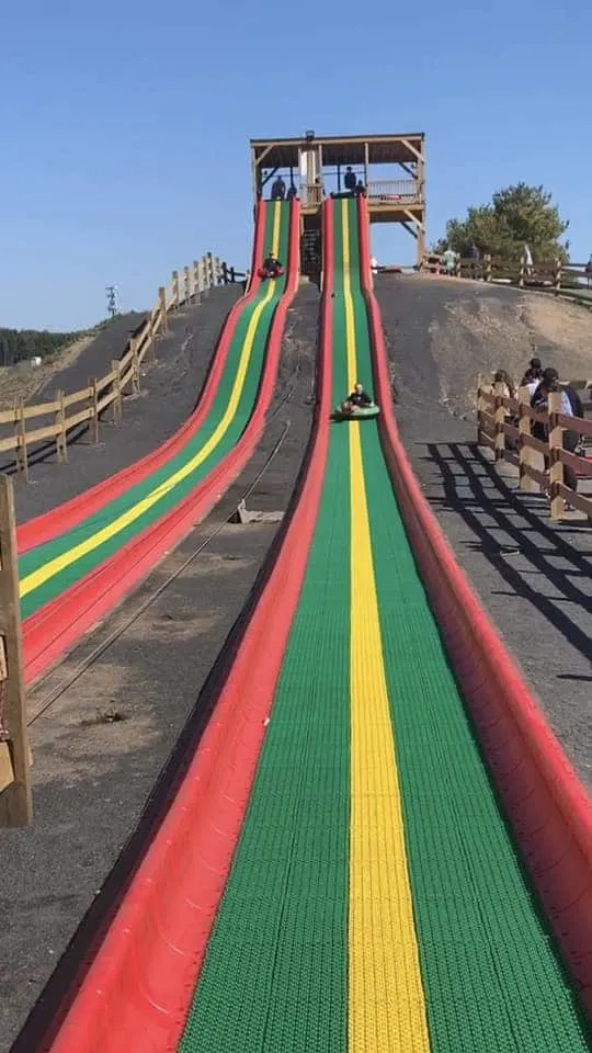 Slide at Shady Brook Farm