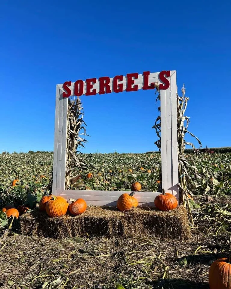 Soergel Orchards pumpkin patch 