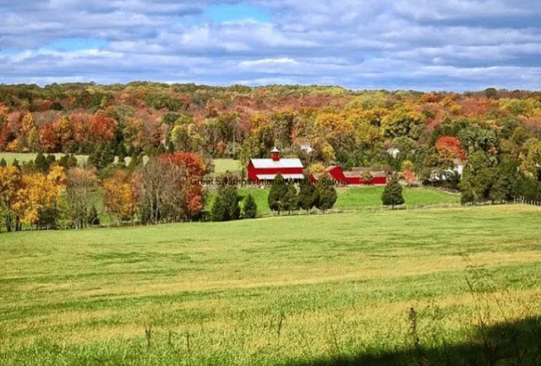 Sourland Mountain preserve