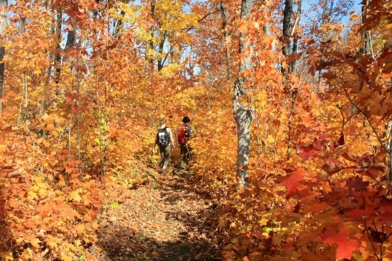 Superior HIking Trail