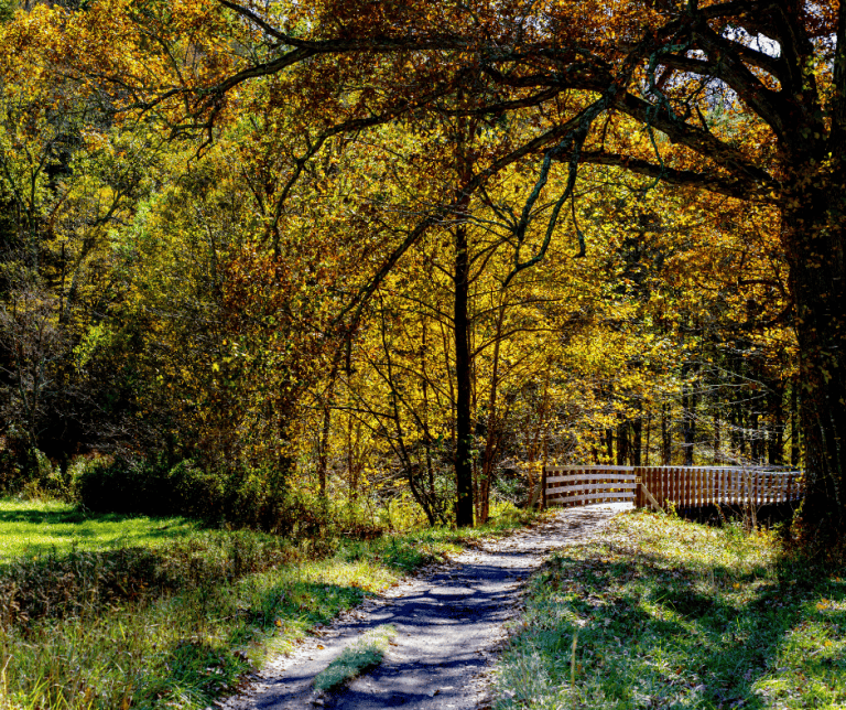 Virginia Creeper Trail