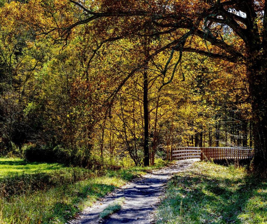 Over 15 Incredible Spots to Enjoy Virginia Fall Colors 2
