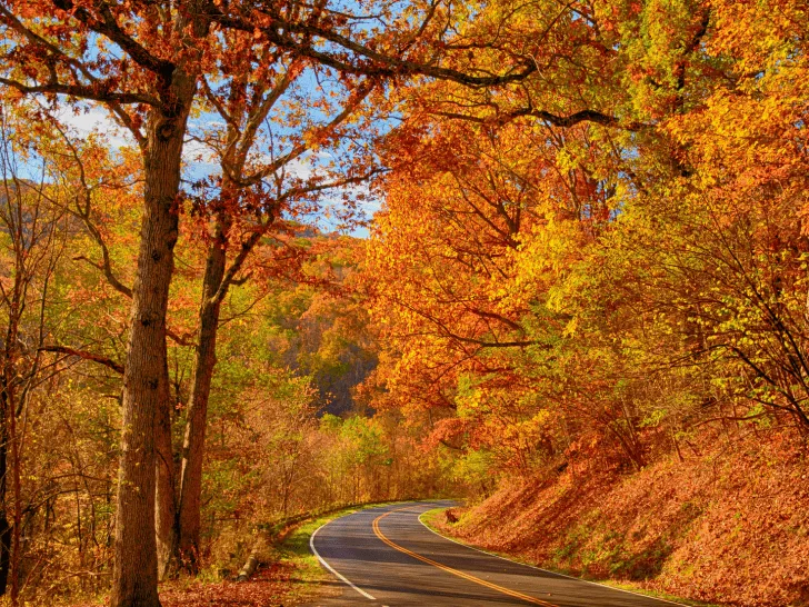 Virginia Fall Colors