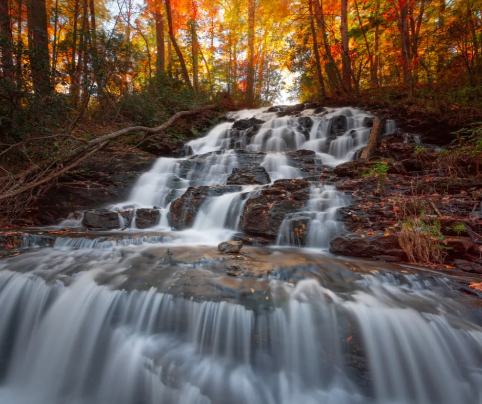 Amazing Places to View Fall Colors in Georgia 3