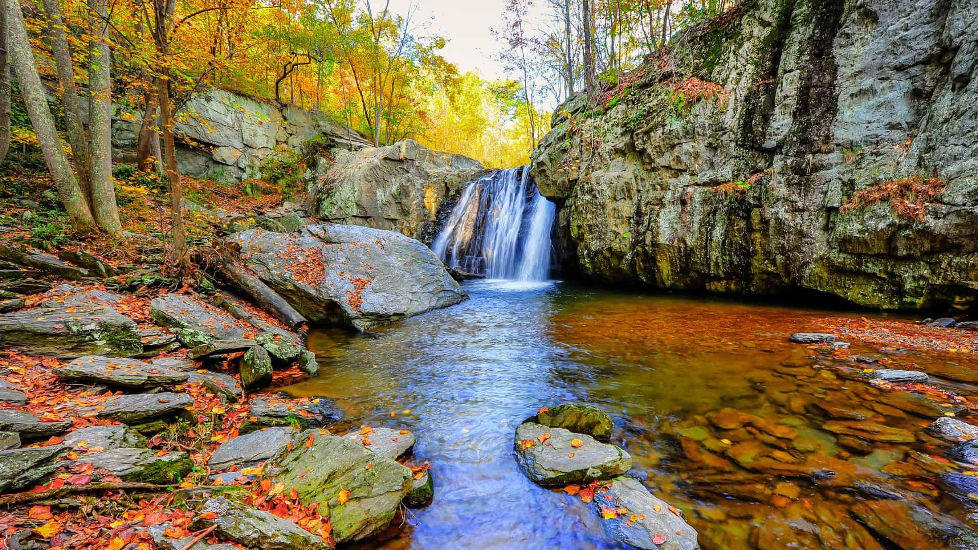 Fall Foliage in Maryland- 10 Top Places to Enjoy the Season