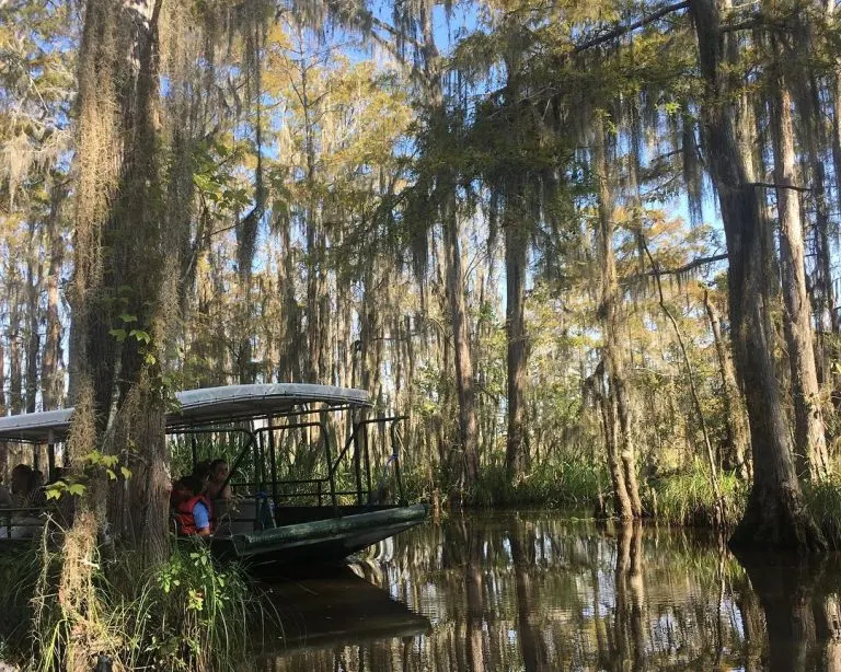 swamp tour New Orleans
