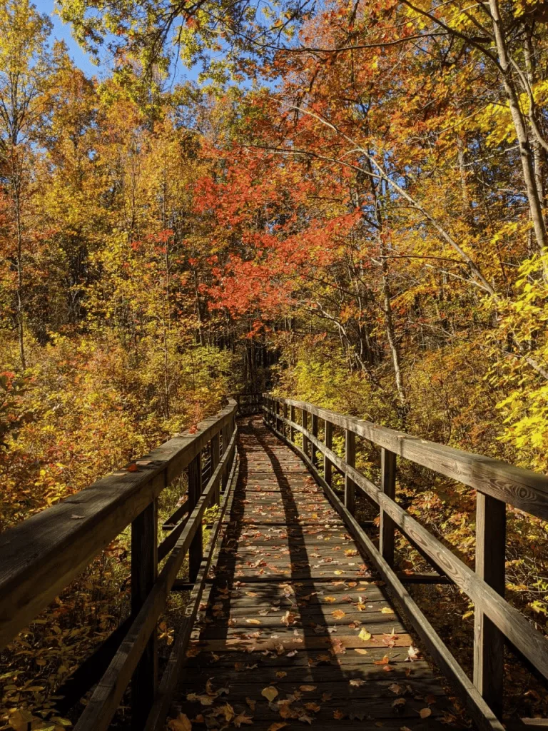 Great Swamp National Wildlife Refuge in New Jersey