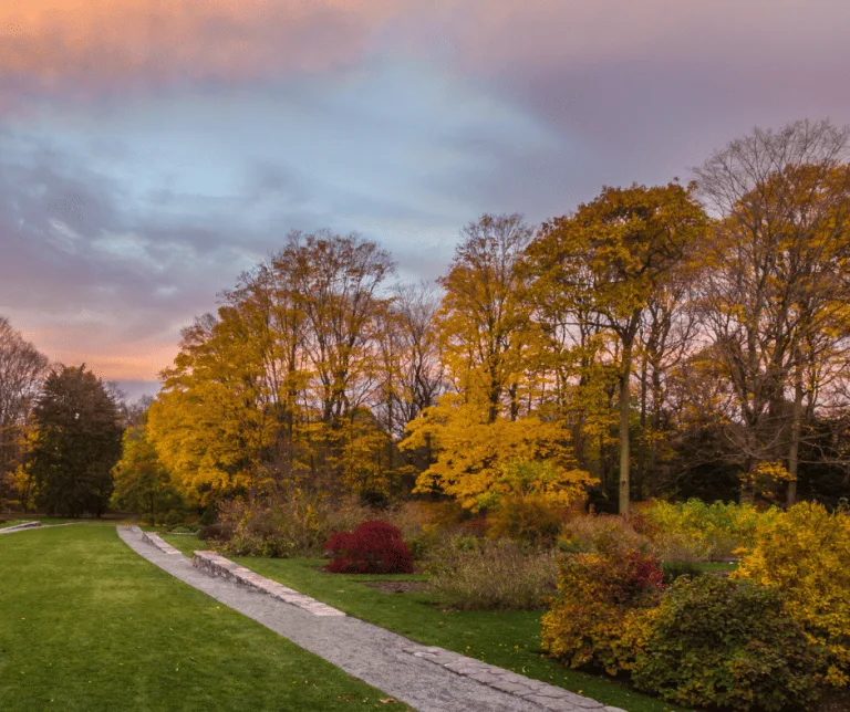 Arnold Arboretum in the autumn