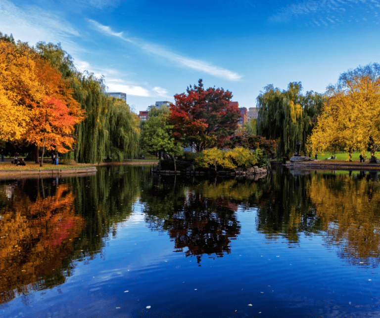 Boston Common is a great place to enjoy Massachusetts fall foliage,