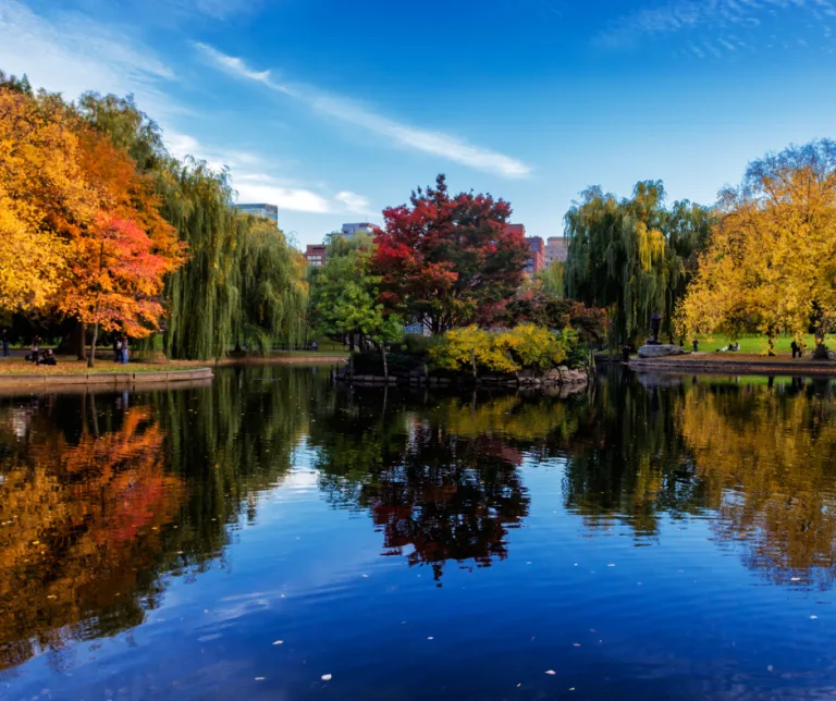 Boston Common is a great place to enjoy Massachusetts fall foliage,