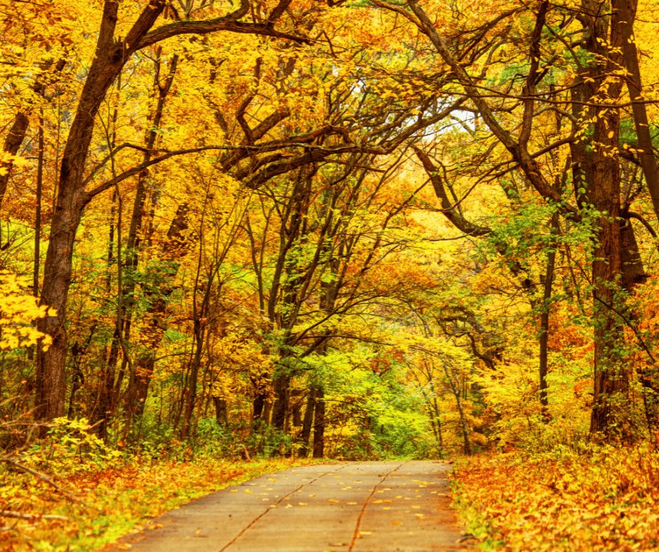 17 Great Places to Enjoy Massachusetts Fall Foliage 3