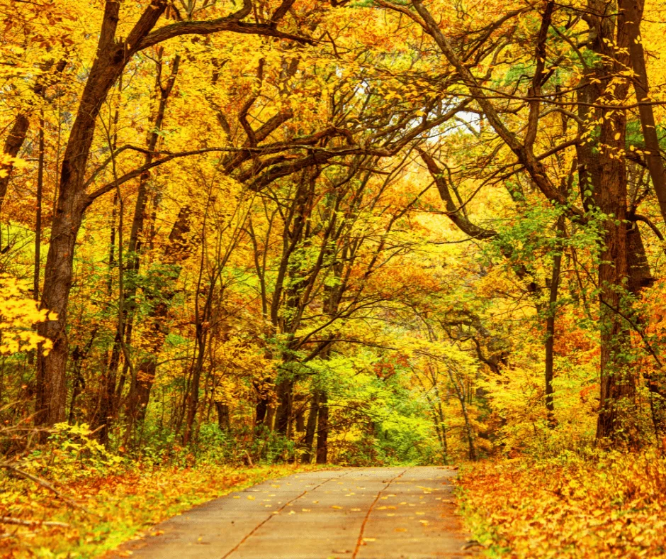 17 Great Places to Enjoy Massachusetts Fall Foliage