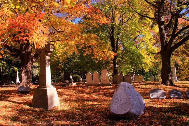 Mount Auburn Cementery in fall