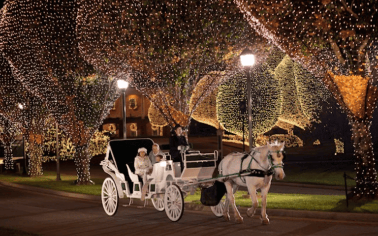 Nashville Christmas Carriage rides