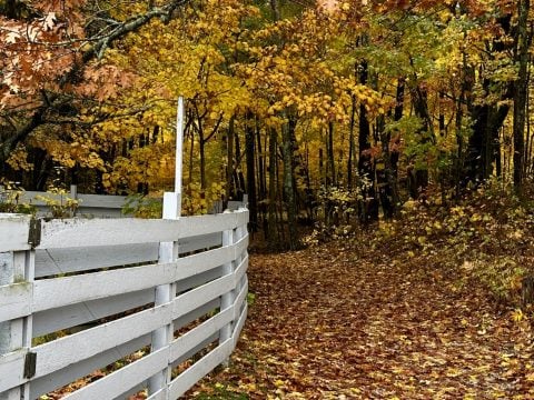 Door County Fall Colors- Over 25 Ways to Enjoy Fall in Door County