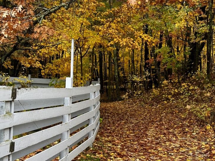 Door County Fall Colors- Your Guide to Enjoying Fall in Door County
