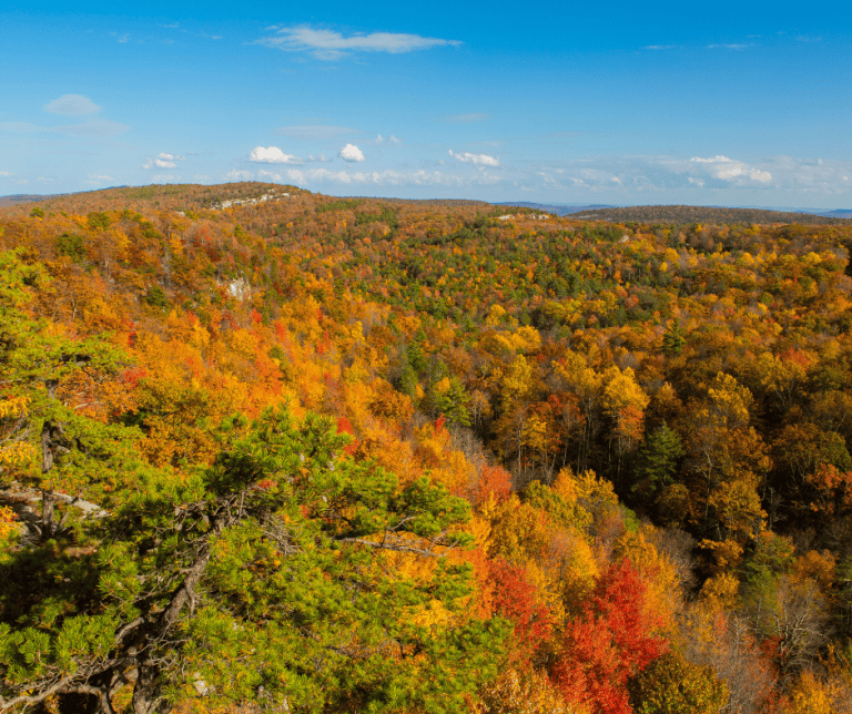 Hudson Valley fall foliage can be found at Minnewaska State Park