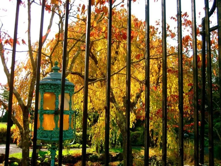 Kykuit Estate in autumn