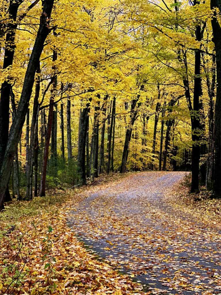 Peninsula State Park has some of the best Door County fall foliage