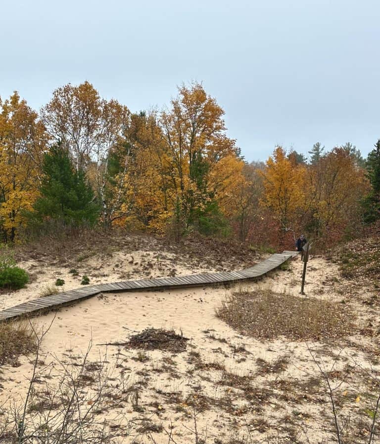 Whitefish Dunes State Park in Door County in fall