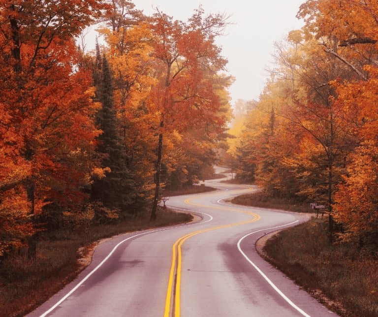 Door County Fall Colors- Your Guide to Enjoying Fall in Door County 1