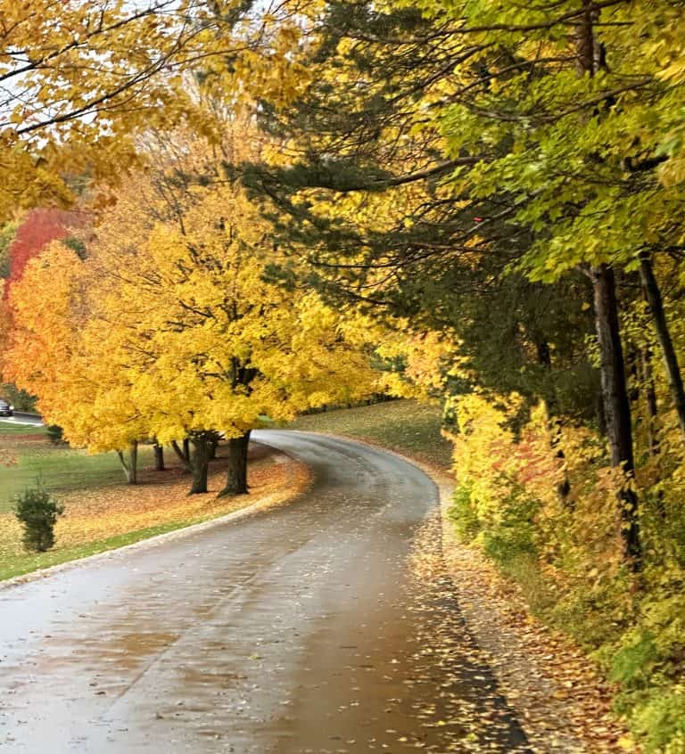 Door County Fall Foliage