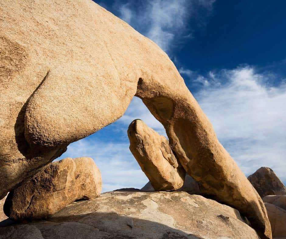 Joshua Tree with Kids- When to Visit, Things to do, Best Hikes, & More! 5