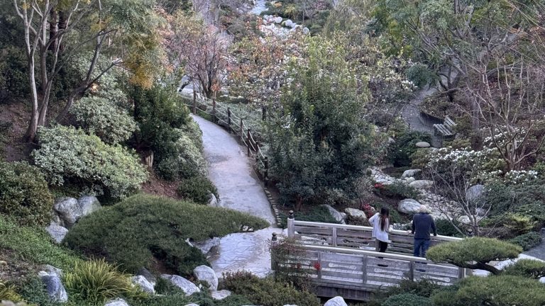 Japanese Friendship Garden, San Diego with Teens