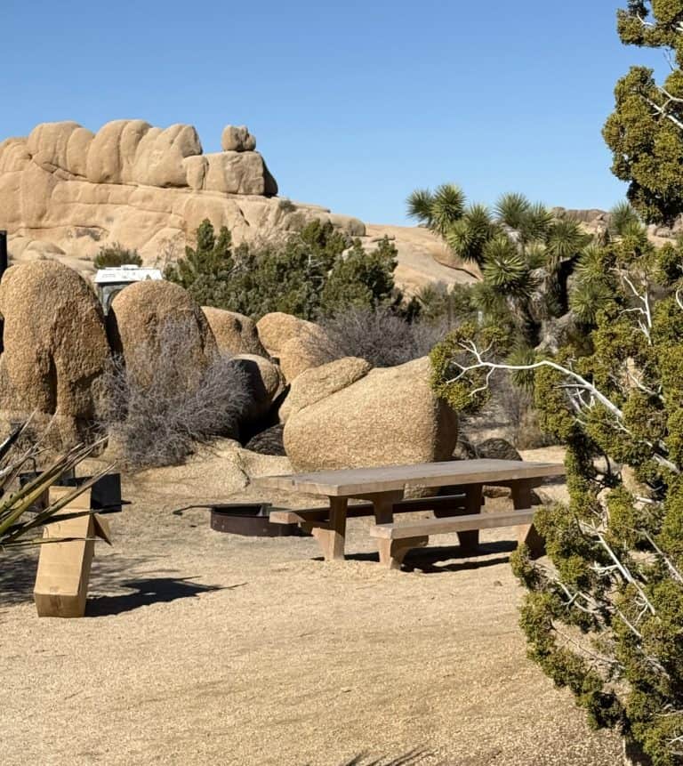 Campsite at Jumbo Rocks