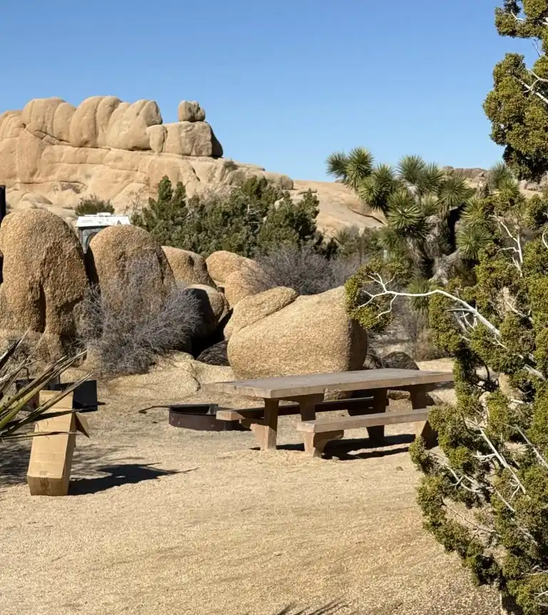 Joshua Tree with Kids- When to Visit, Things to do, Best Hikes, & More! 9 Campsite at Jumbo Rocks